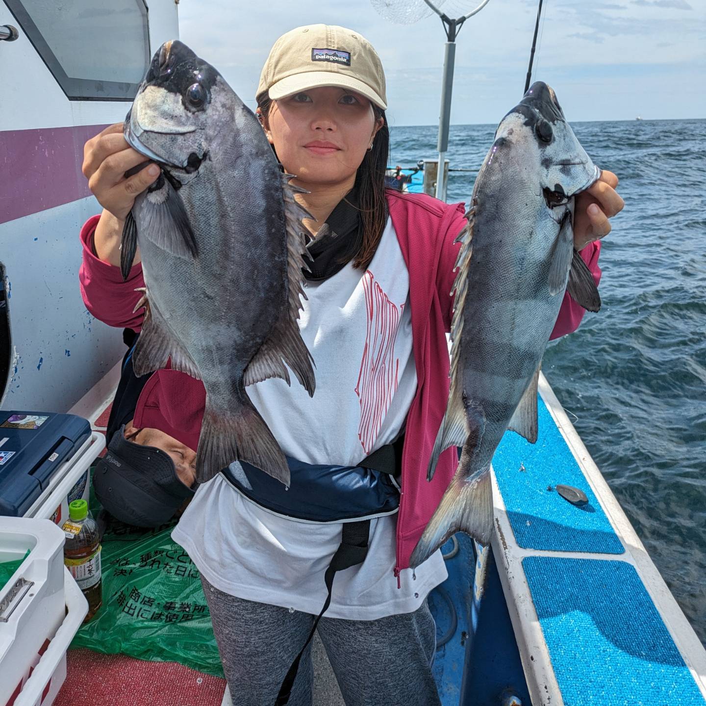 朝便の石鯛 - 功成丸｜伊勢湾の釣り｜三重県鳥羽市の釣船屋