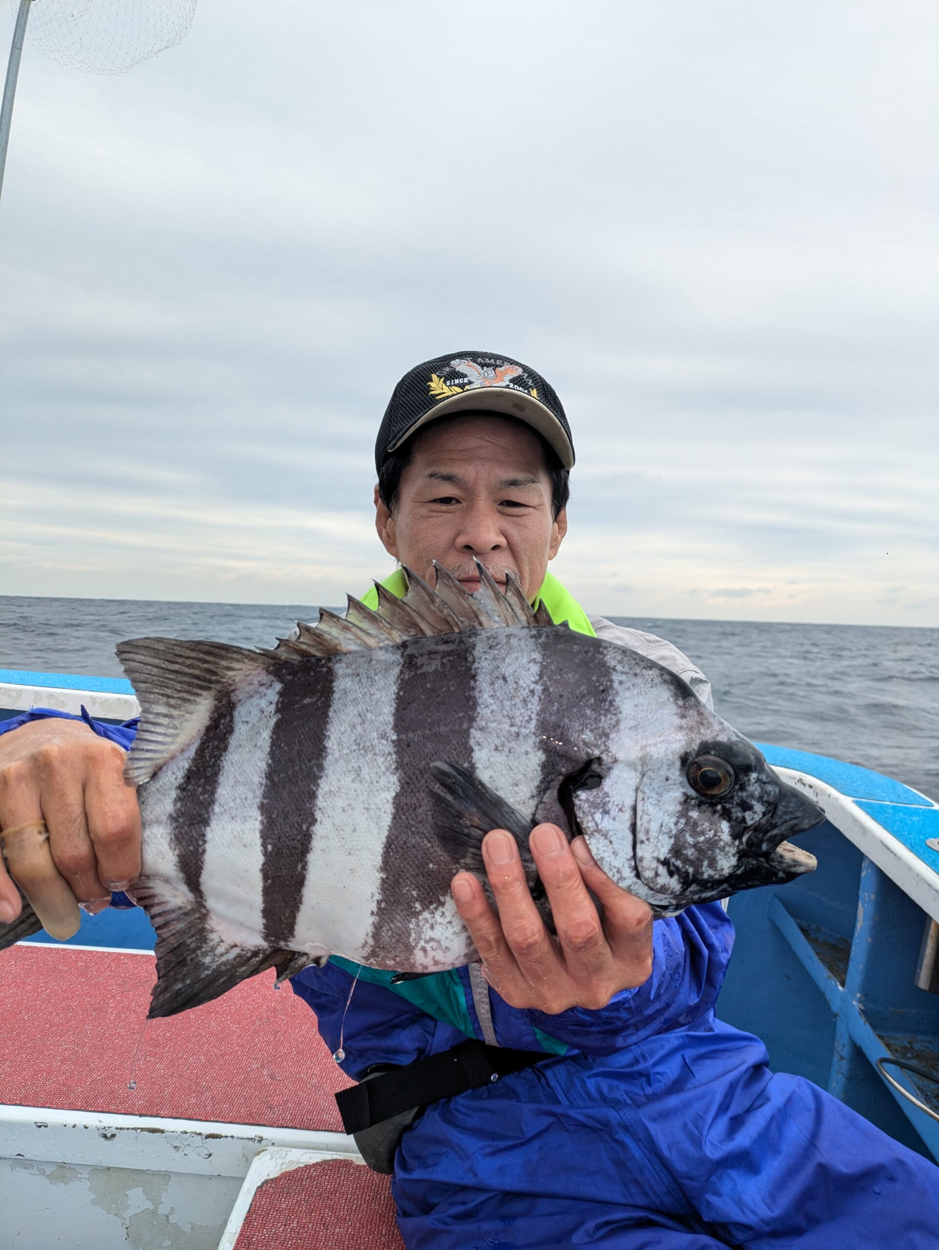 石鯛 - 功成丸｜伊勢湾の釣り｜三重県鳥羽市の釣船屋