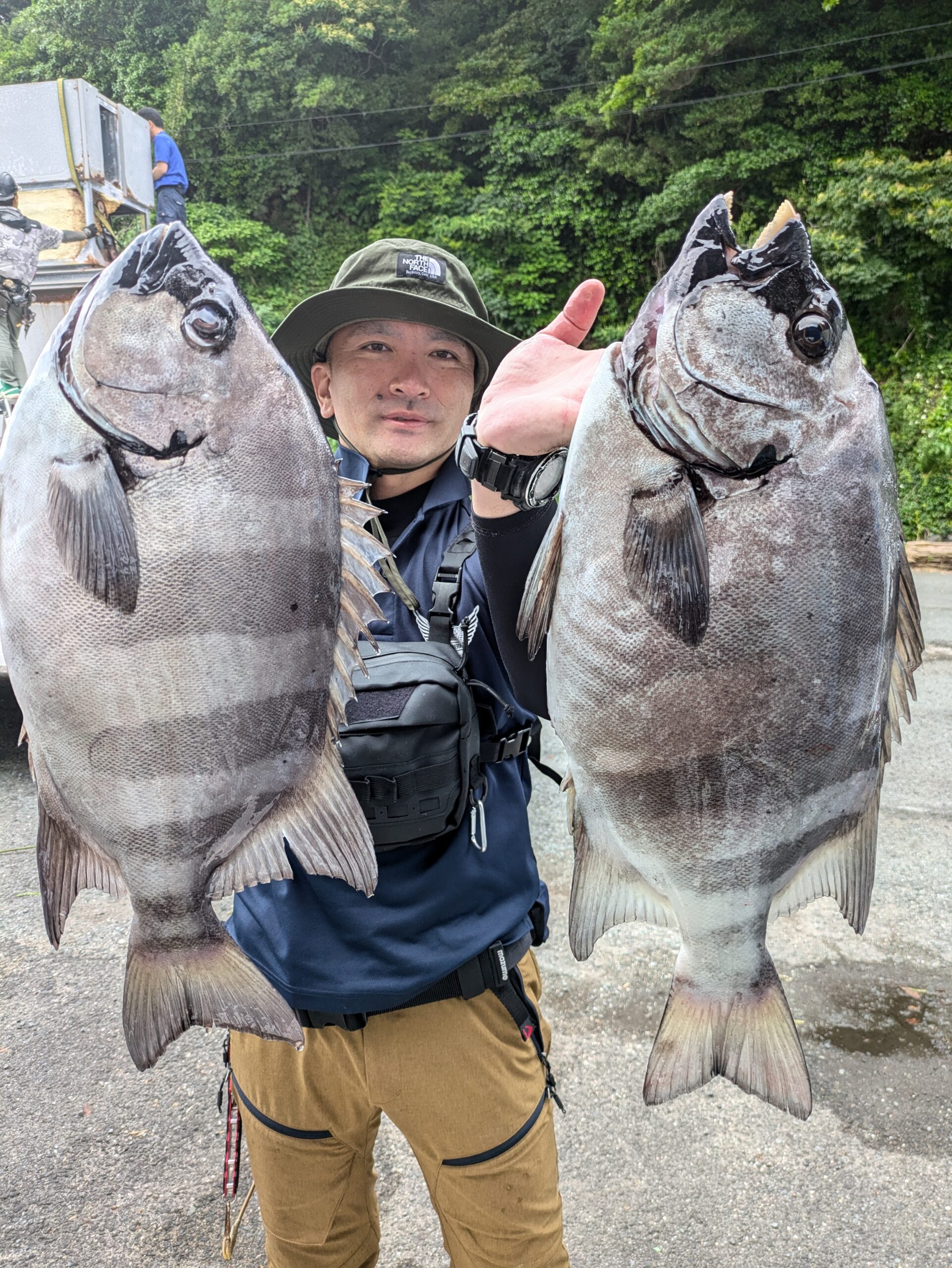 石鯛とイサキ - 功成丸｜伊勢湾の釣り｜三重県鳥羽市の釣船屋