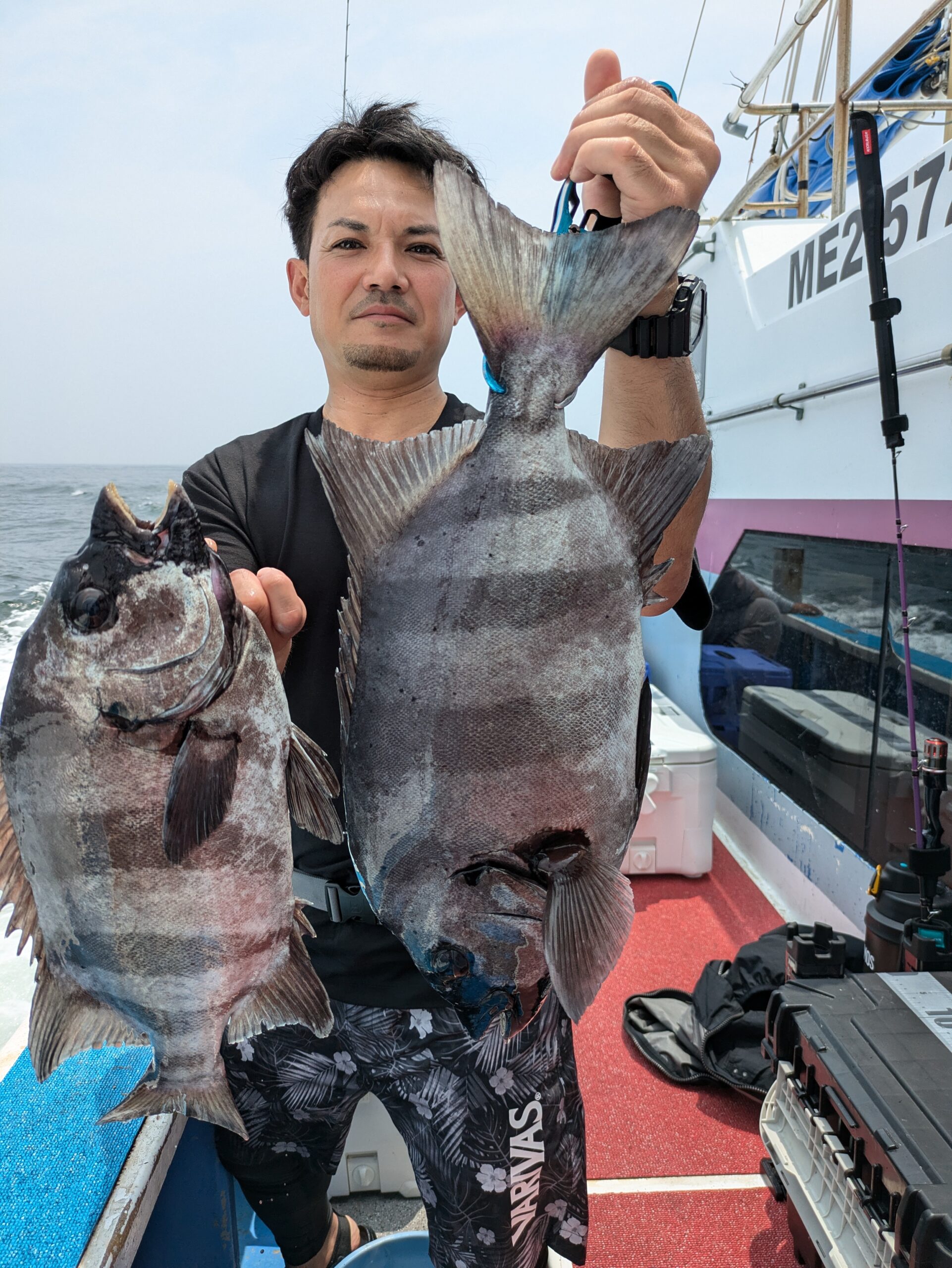 朝の石鯛 - 功成丸｜伊勢湾の釣り｜三重県鳥羽市の釣船屋